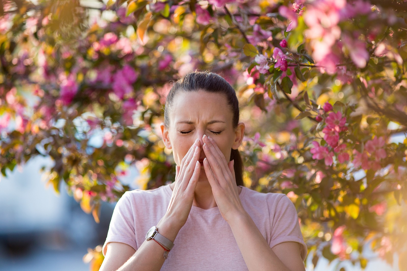 dust, mold & hayfever allergies